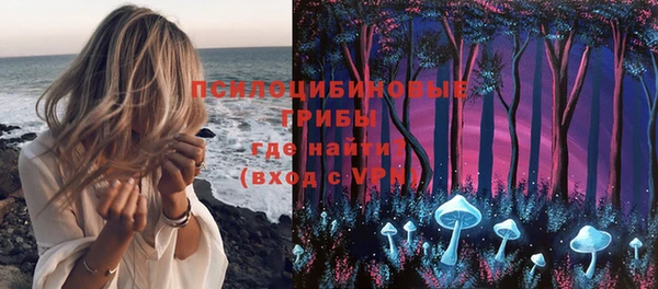 гашик Алзамай