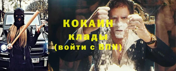 твердый Алексин