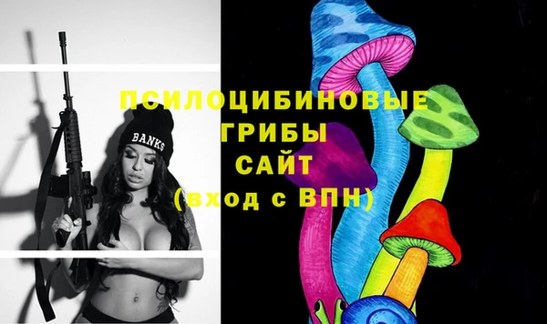 твердый Алексин
